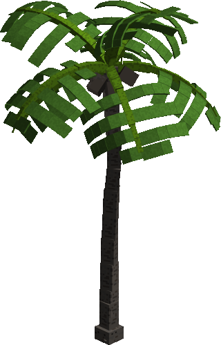 Caribbean Palm Tree preview