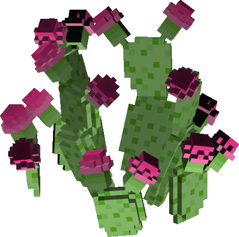 Flowered Cactus preview