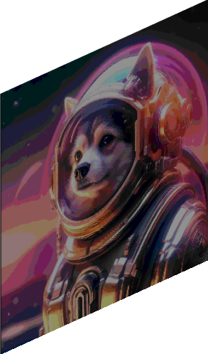 AIS_(Animals In Space)_Dog preview