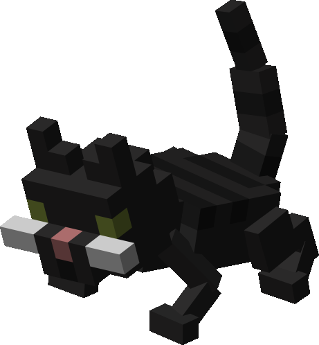 Black Kitten preview