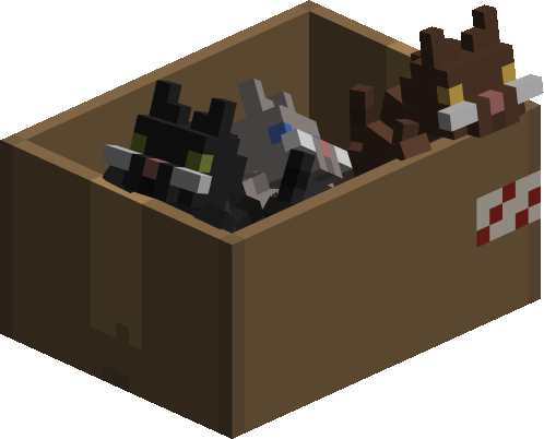 box of kittens preview