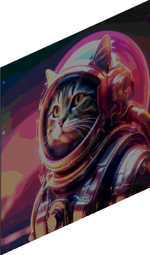 AIS_(Animals In Space)_Cat preview